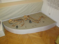 IMG_2721.jpg, 23kB